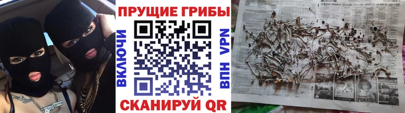 Галлюциногенные грибы MAGIC MUSHROOMS  Вилючинск 